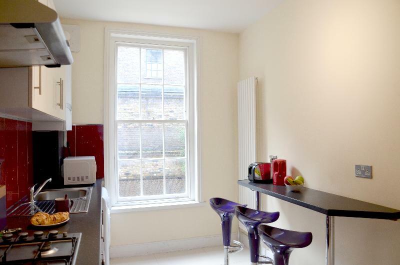 Oyo Home 146 Balfe Street King'S X Londra Exterior foto